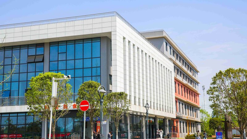 毕业设计电子设计：优缺点全面解析