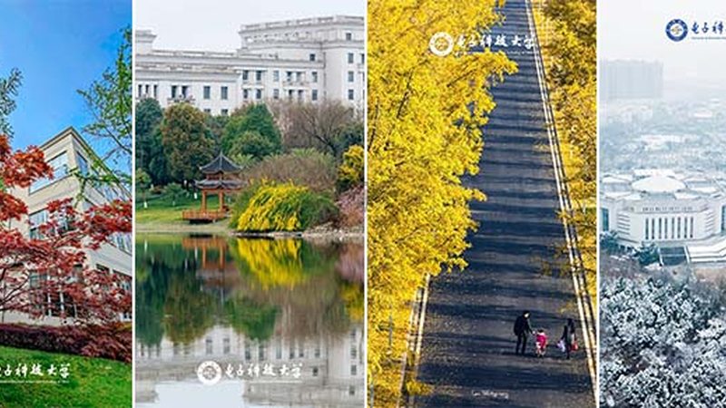 水泥电阻：揭秘其质量优劣的关键因素