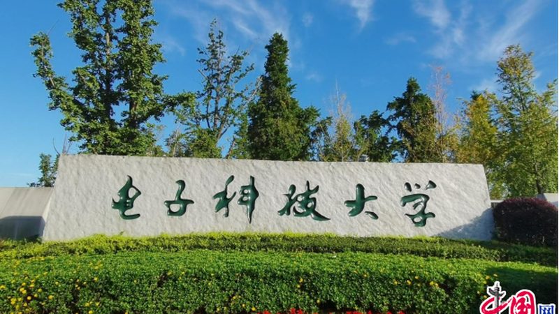 汽车继电器：批发价格背后的技术考量